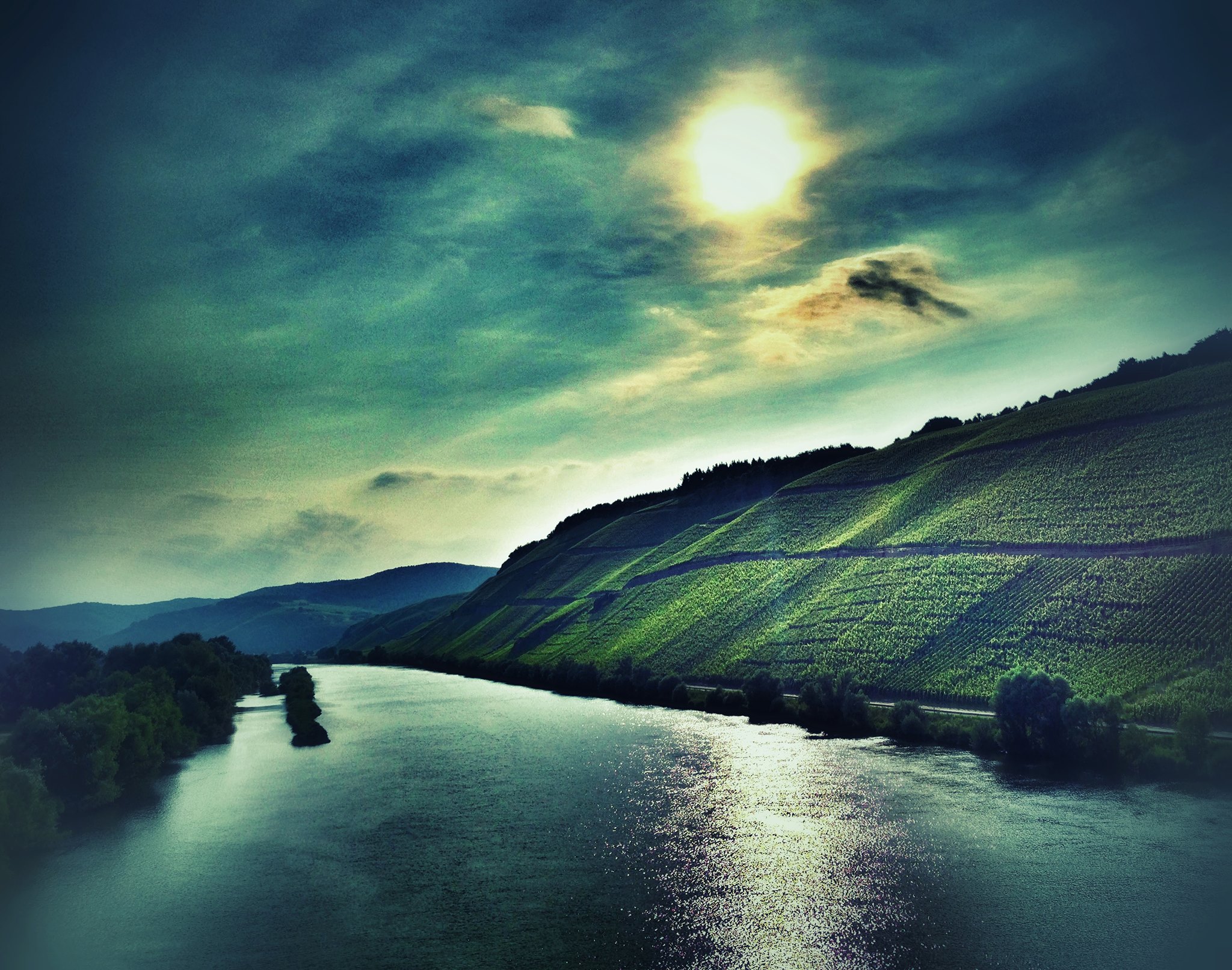 Bild der Mosel und Weinreben